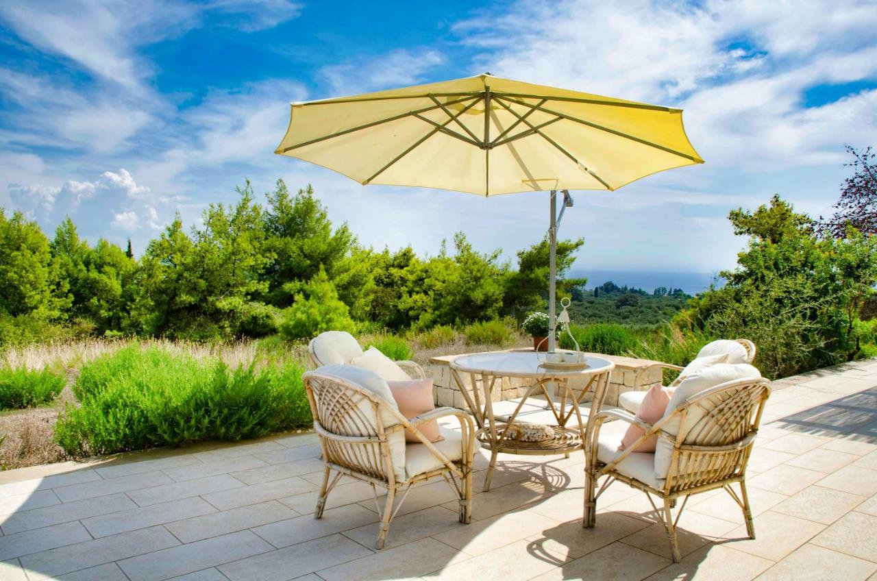 Seaview Daisy House In Zakynthos Island Villa Vasilikí Eksteriør billede